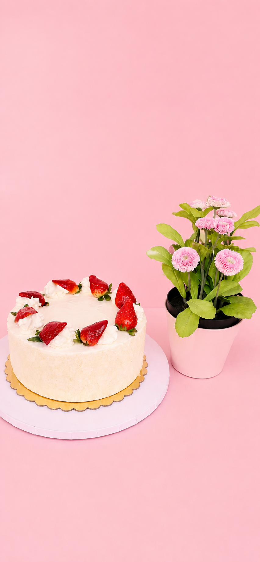 cakes
