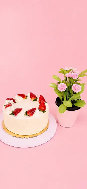 Cakes